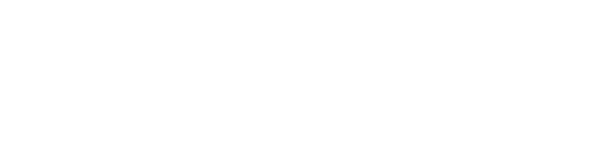 Logo placacentro